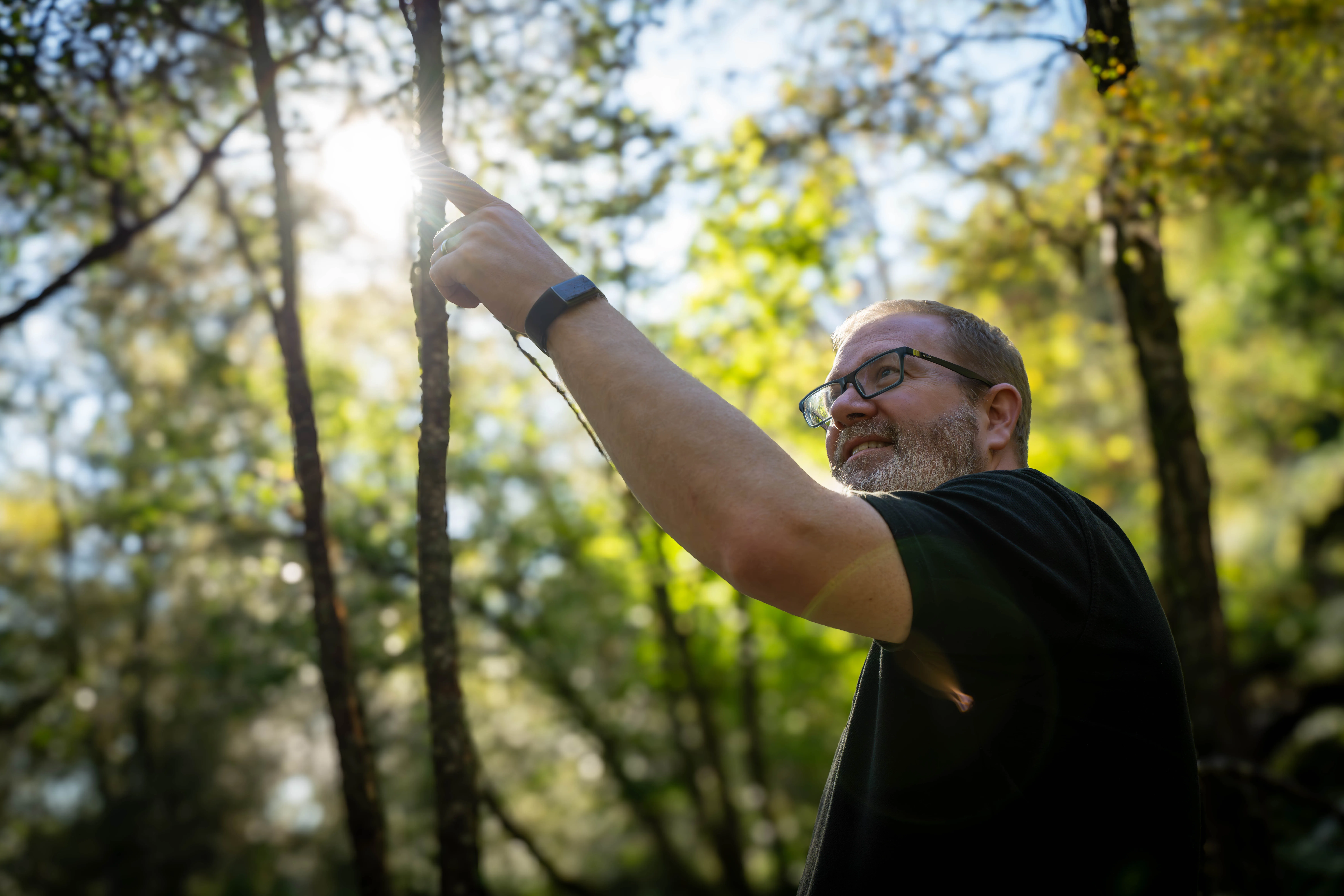 Man wearing glasses points at sunlight shining through trees in a forest on a bright day.