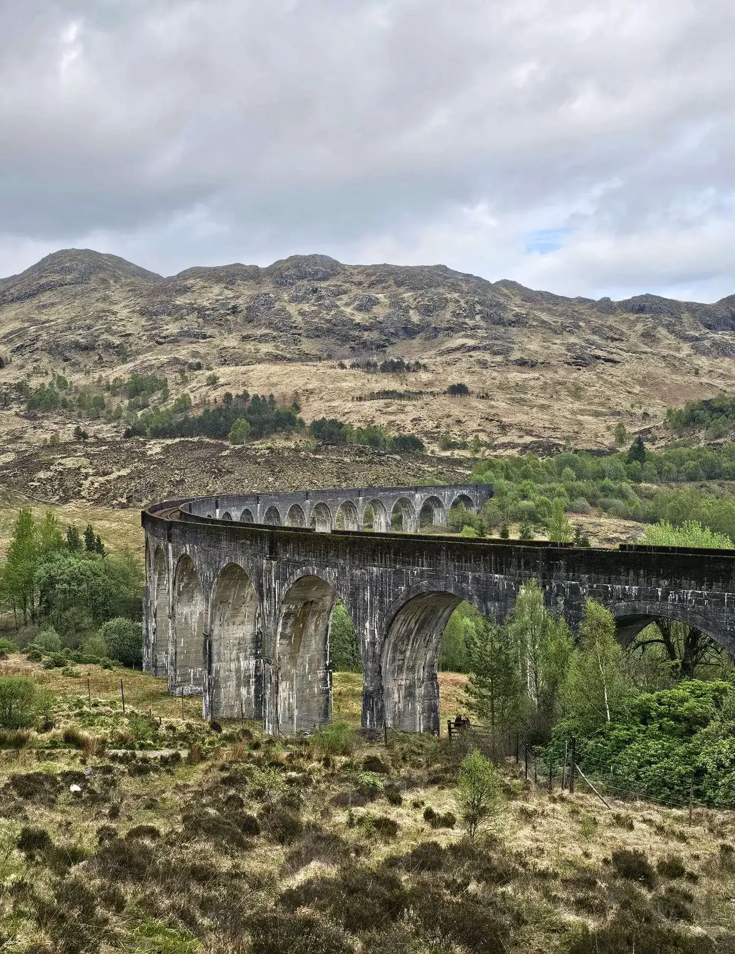 Curved stone railway viaduct crossing green shrubs with mountains and cloudy sky in the background.