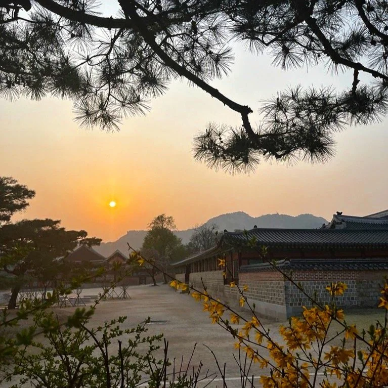Seoul © Shade the UK