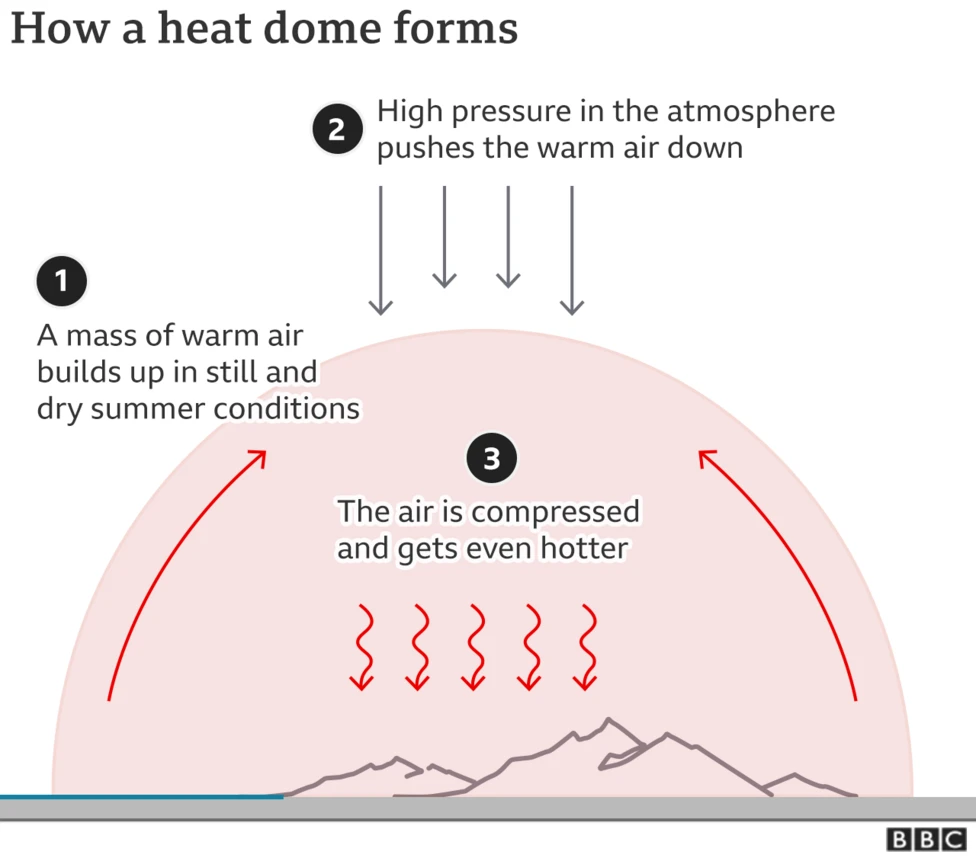 Source: BBC Website