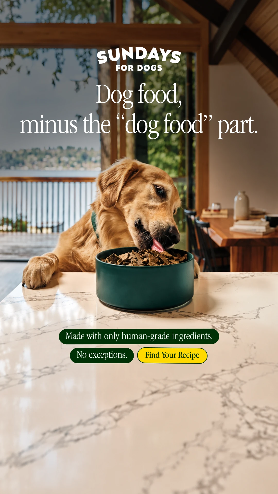 Sundays for Dogs static ad by Biddyco