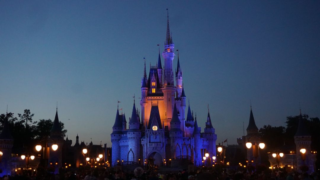 Disney Castle DVC