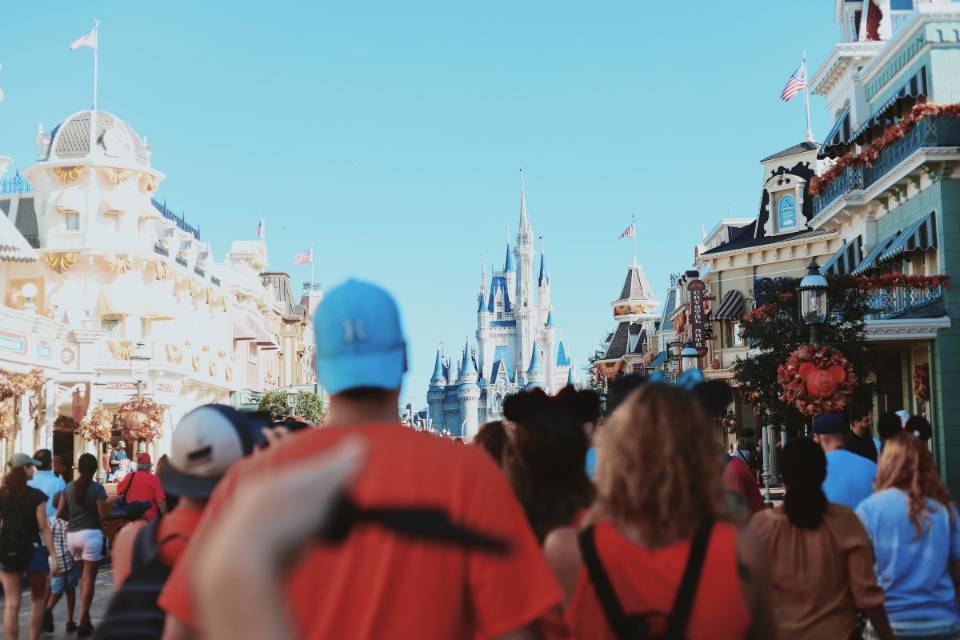 Disney Castle through the crowd