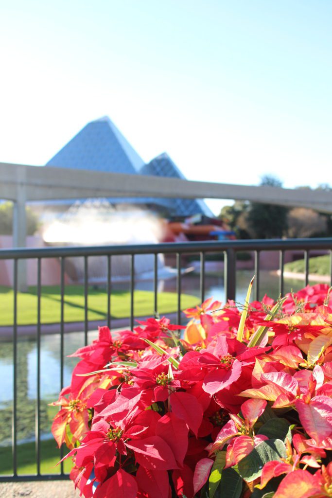 EpcotPoinsettas2021