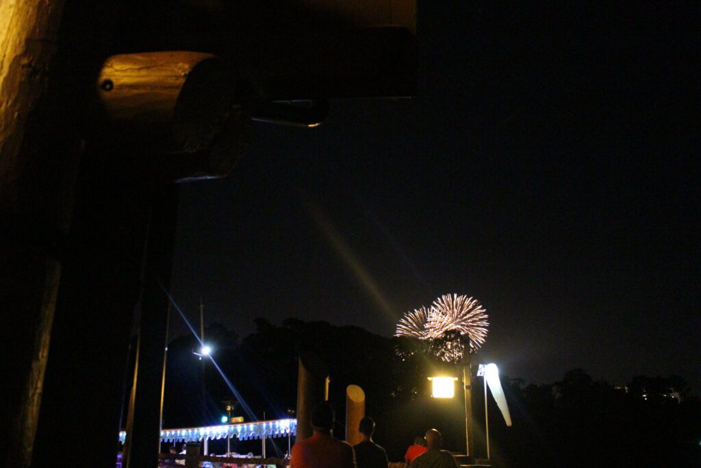 Fireworks light the night sky over trees and a Magic Kingdom boat.