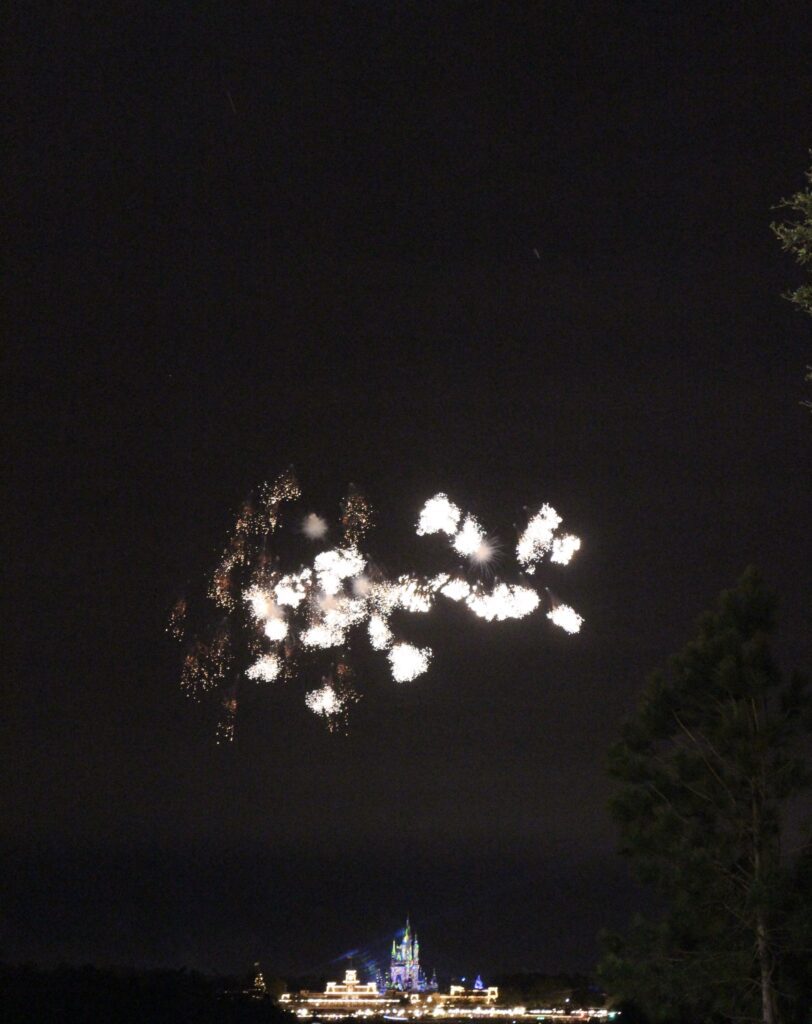 DVC Resorts with the Worst Firework Views