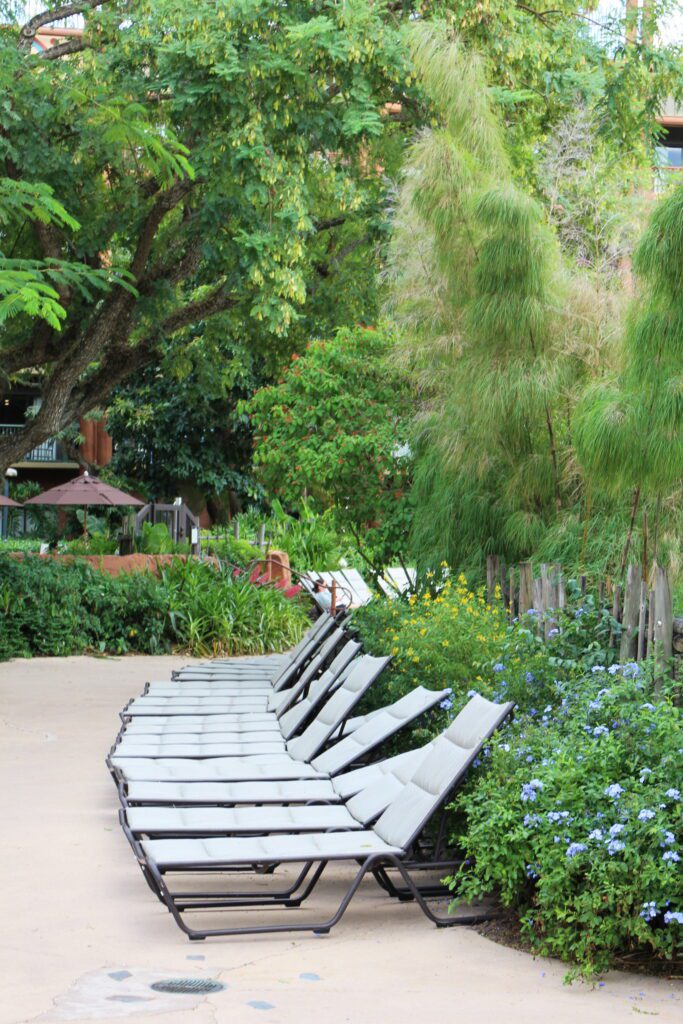 Lounge chairs in a rounded shape in front of a beautifully landscaped lush pool area at the Animal Kingdom themed resort