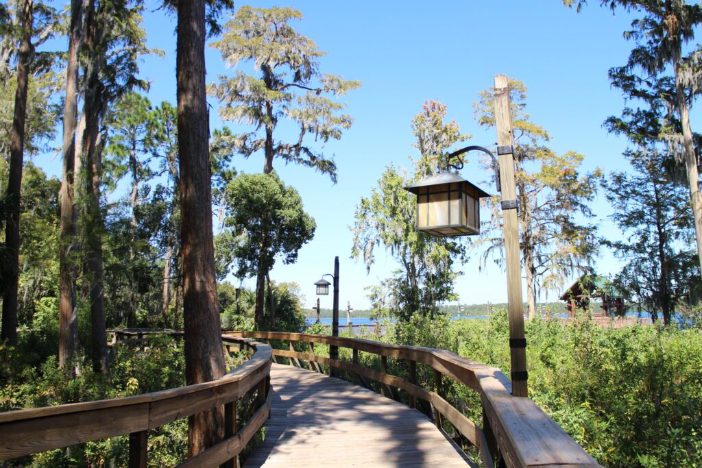A wooden dock pathway through the woods that leads to a lake