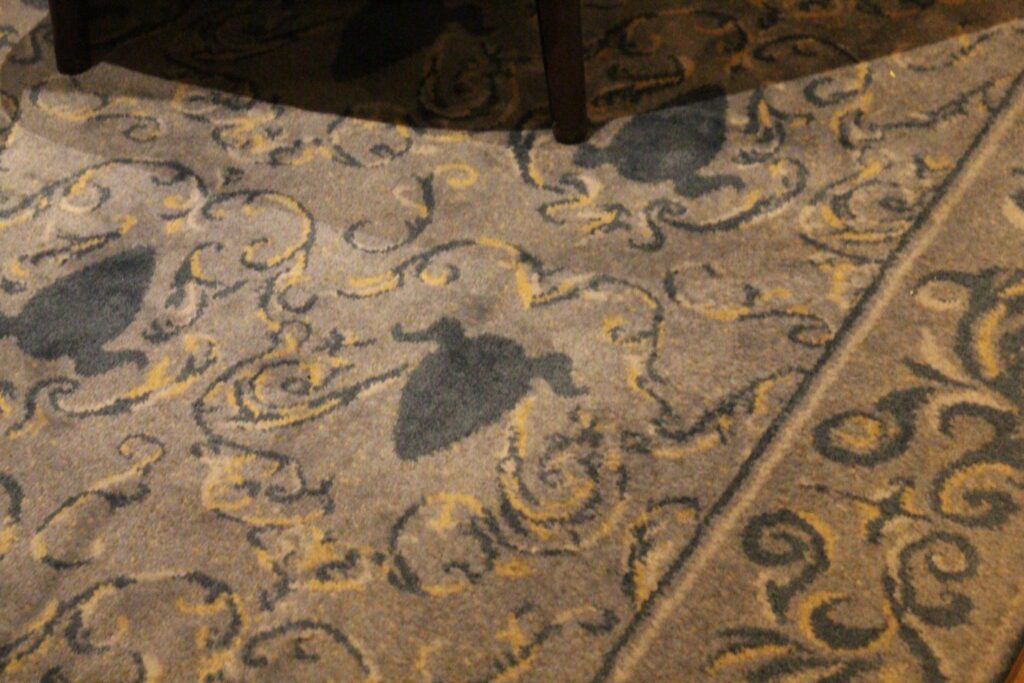A blue carpet features a design with swirls and a shadow that looks like Beast.