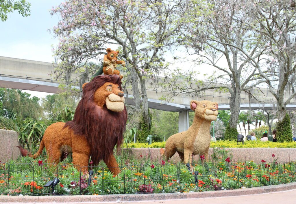 Epcot Lion King topiaries with Mufasa, Rafiki, Simba and more.