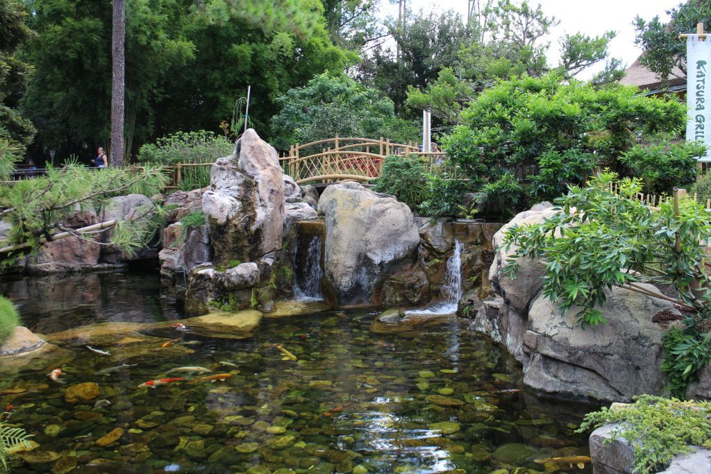 A koy fish pond near the outdoor seating at Katsura Grill, an Epcot quick service restaurant.