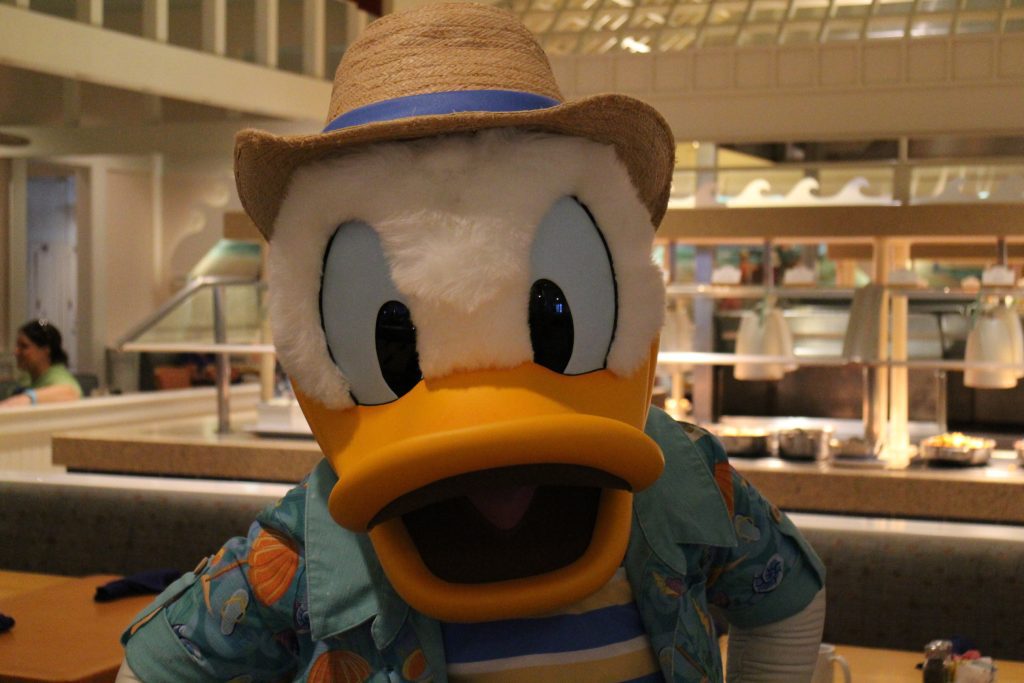 Donald Duck at a buffet restaurant to meet guests