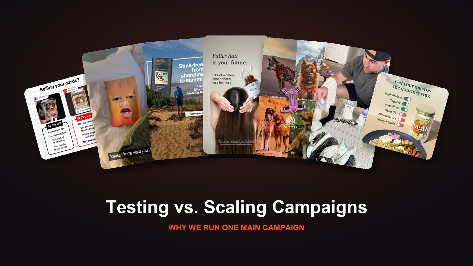 Testing vs. scaling campaigns on Meta: a fan of Biddyco ads for PSA Vault, Feals, Every Man Jack, SeroVital, Wilderdog, Lansinoh and Locale