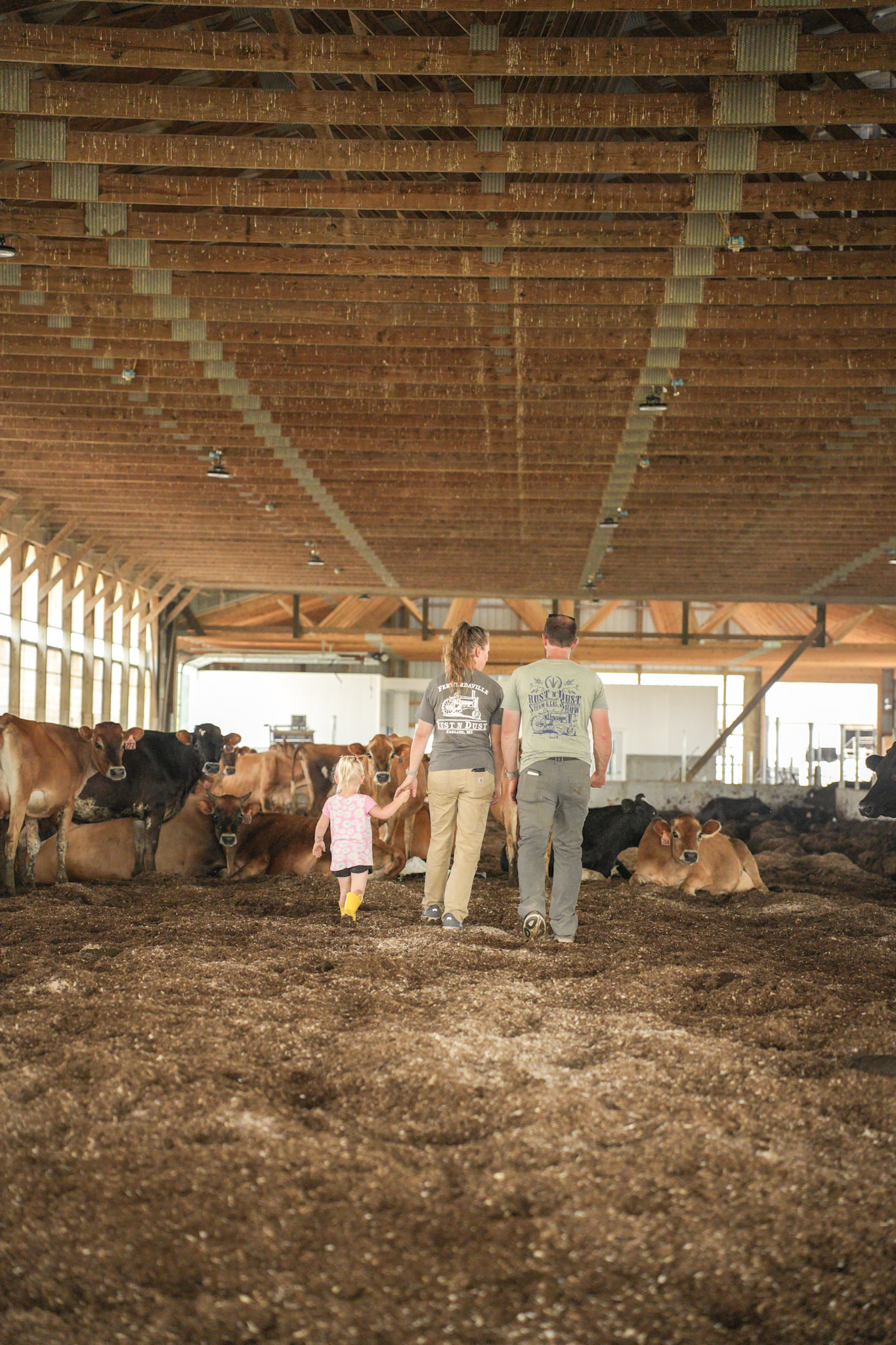 Dairy cows at Van Winkle Dairy