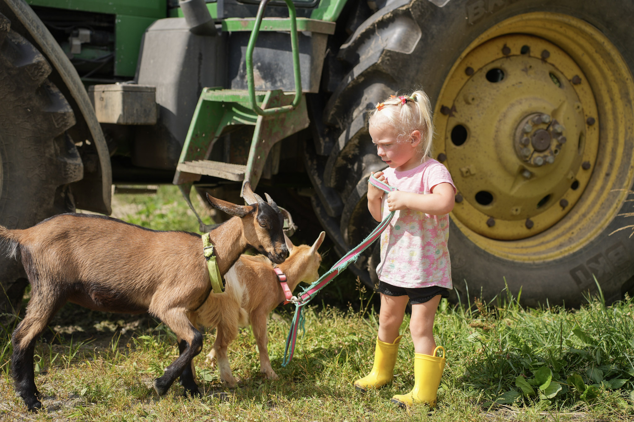 Everyday moments on the Van Winkle farm