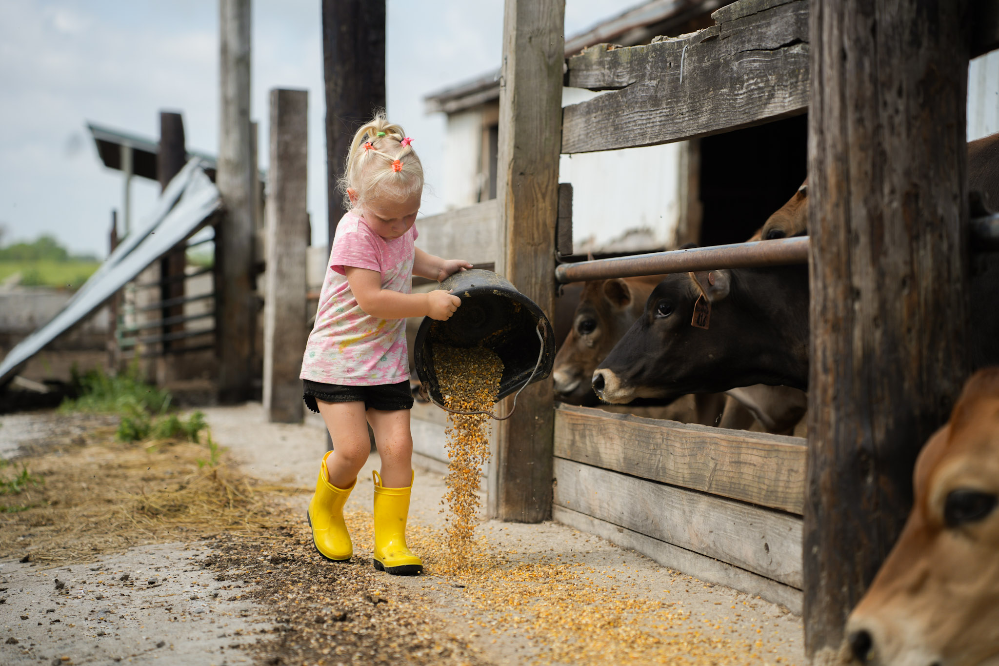 A moment on the Van Winkle family farm