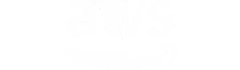 Amazon Web Services logo