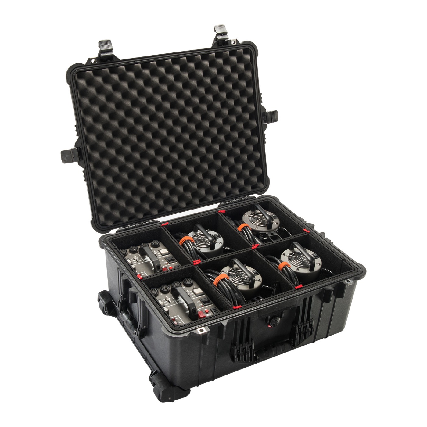 Pelican Protector Case 1610