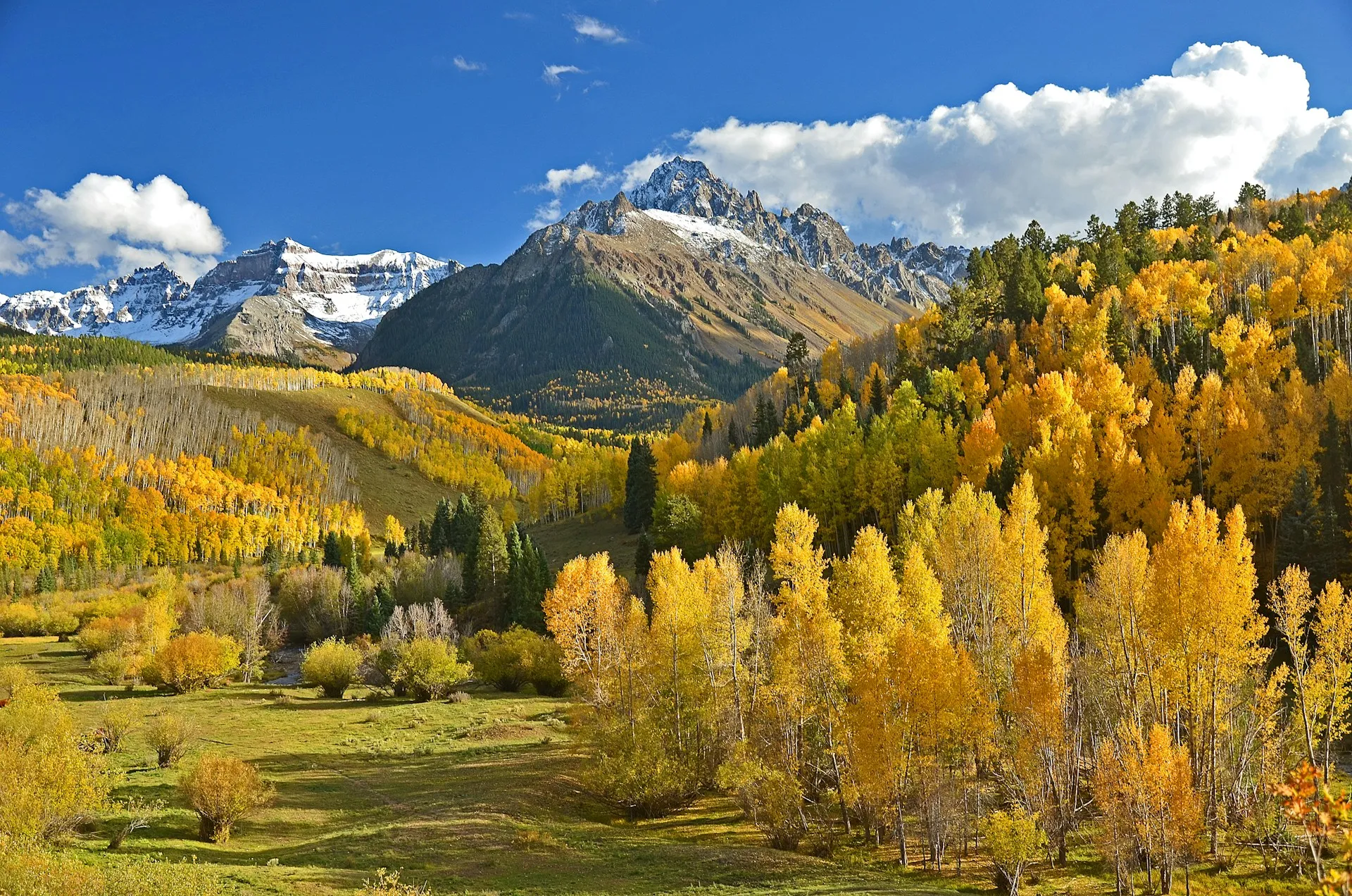 Snow-capped mountains behind a forest of yellow autumn trees under a blue sky with clouds.