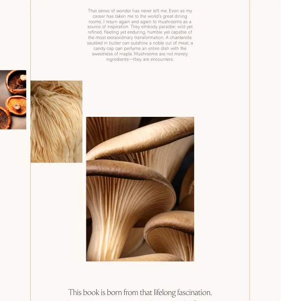 Promotional website for the book, showcasing mushroom images laid out on a grid, as if they were spreading on the site.