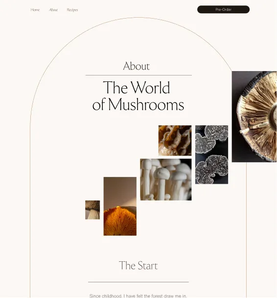 Promotional website for the book, showcasing mushroom images laid out on a grid, as if they were spreading on the site.