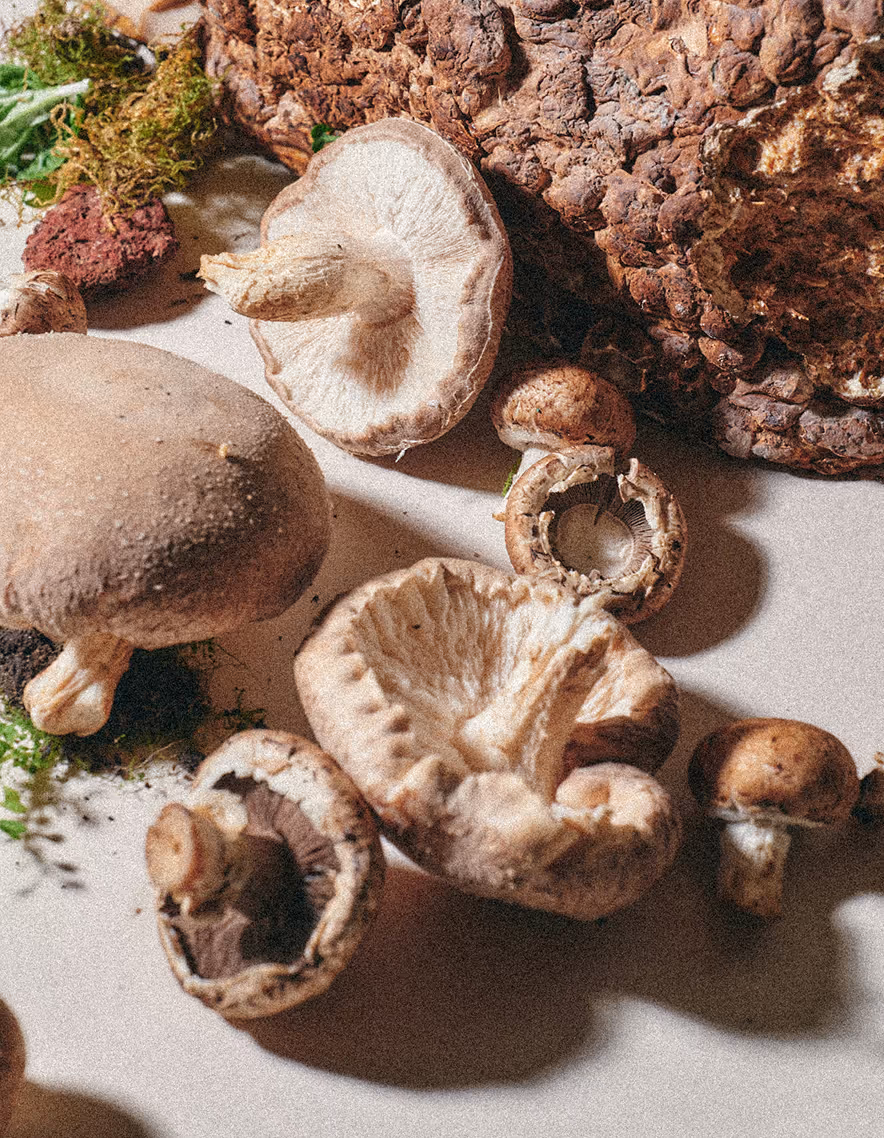 Image showing shiitake mushrooms laid on a table with other culinary ingredients. Shot by Felix Nikado for Death to Stock.