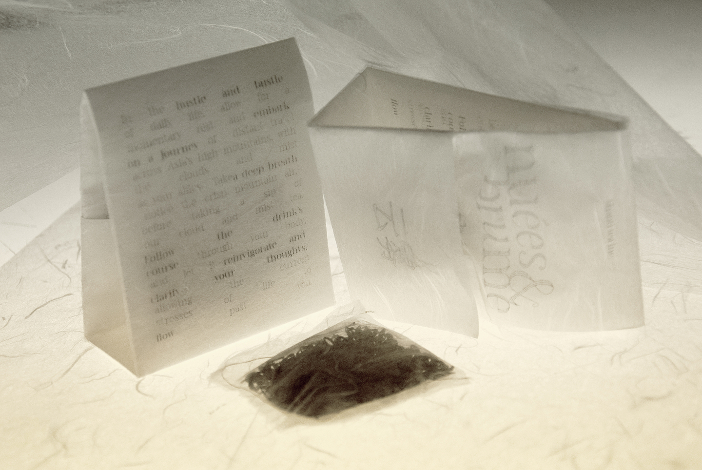 Soft-lit shot of the packaging's front and back panels to showcase the typography hierarchy.