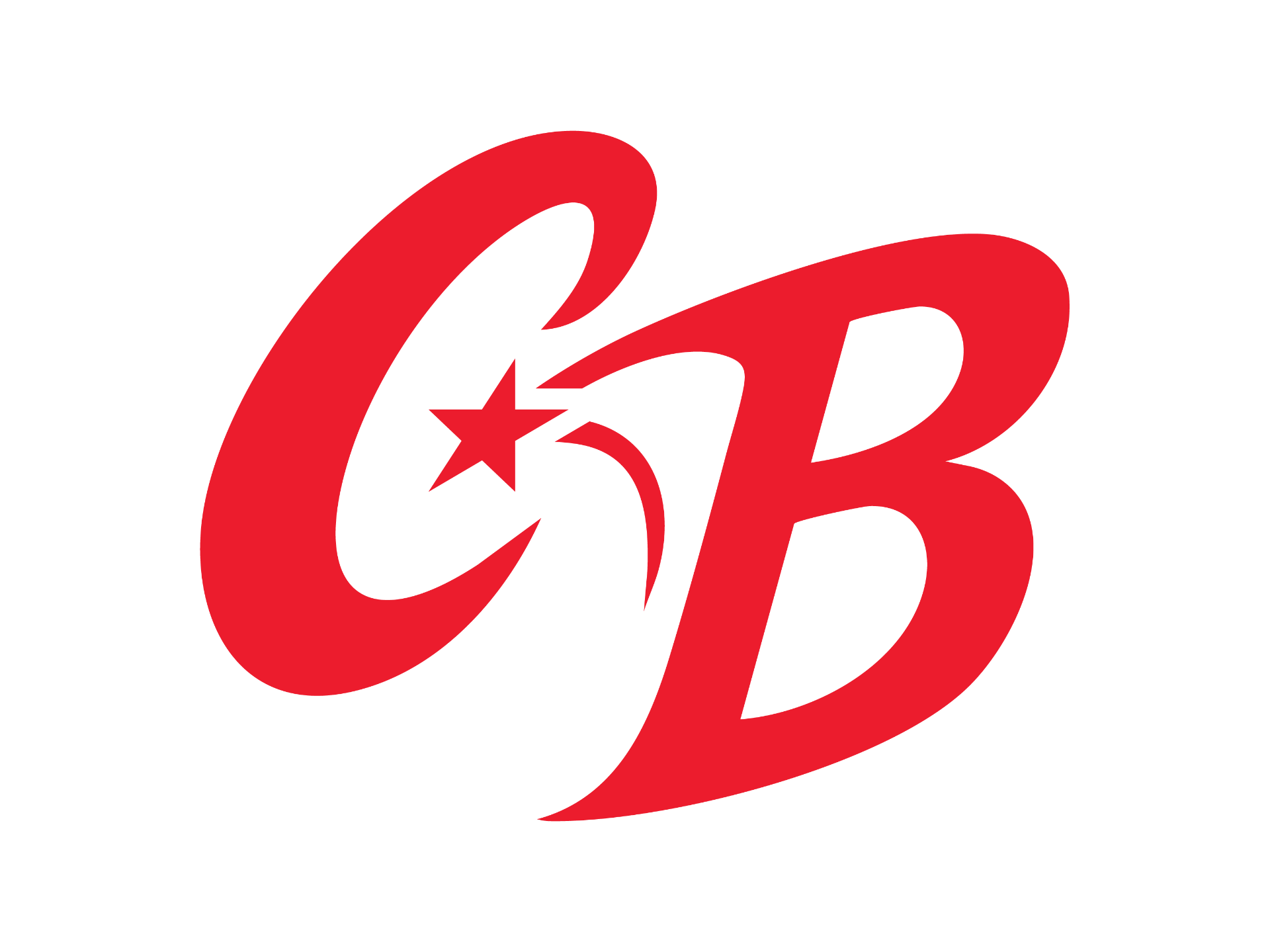 Chicago Bats logo