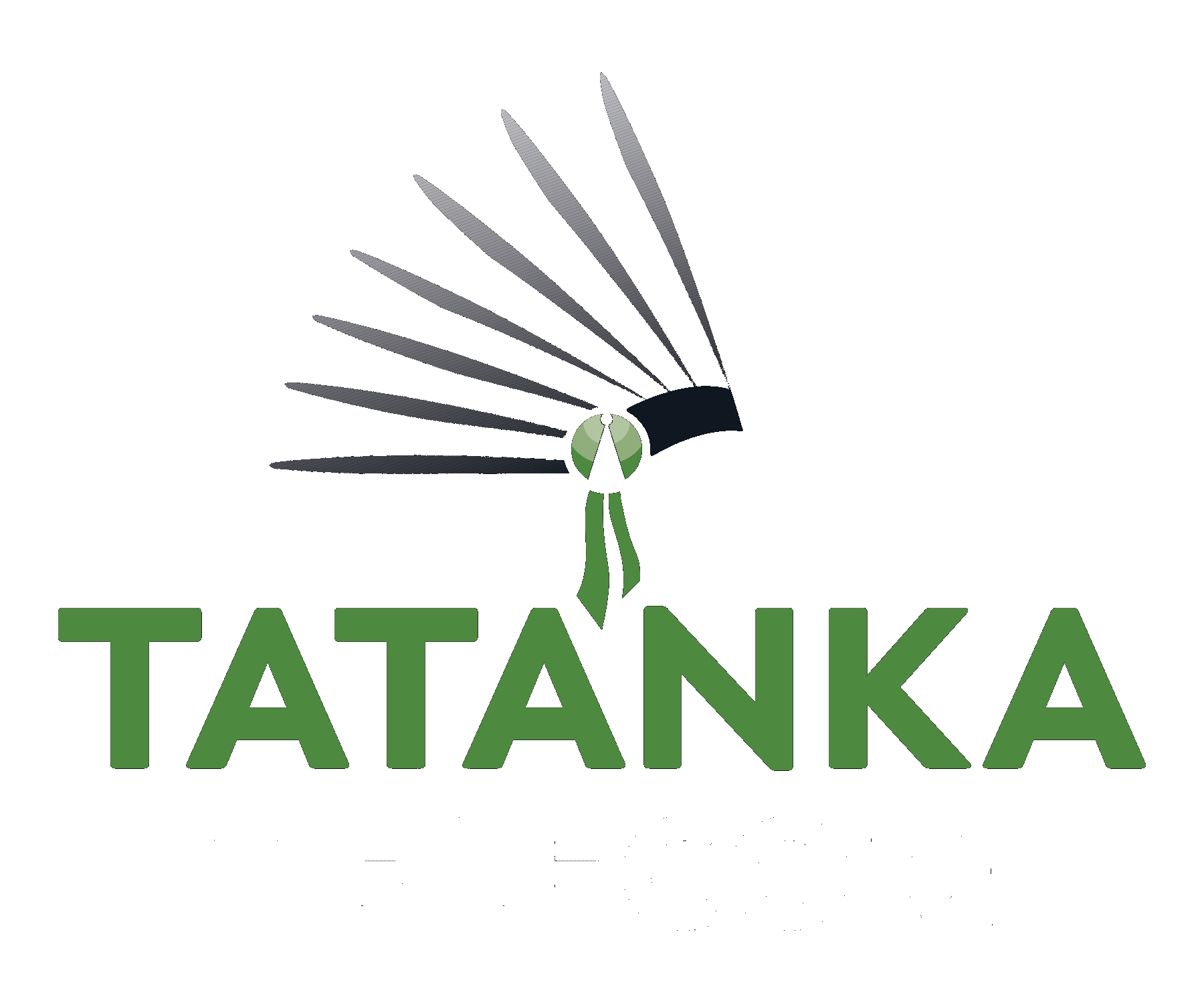 Tatanka Telecom