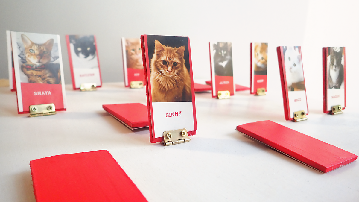 Jeu de cartes illustré de portraits de chats, présenté sur des supports rouges