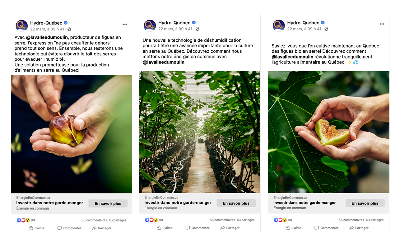 Publications réseaux sociaux de la campagne Énergie en commun