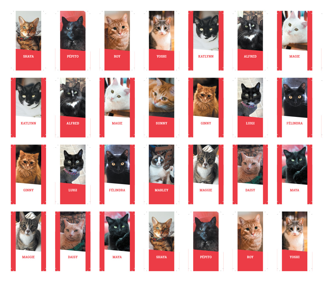 Planche d'impression des cartes du jeu Qui c'est chat