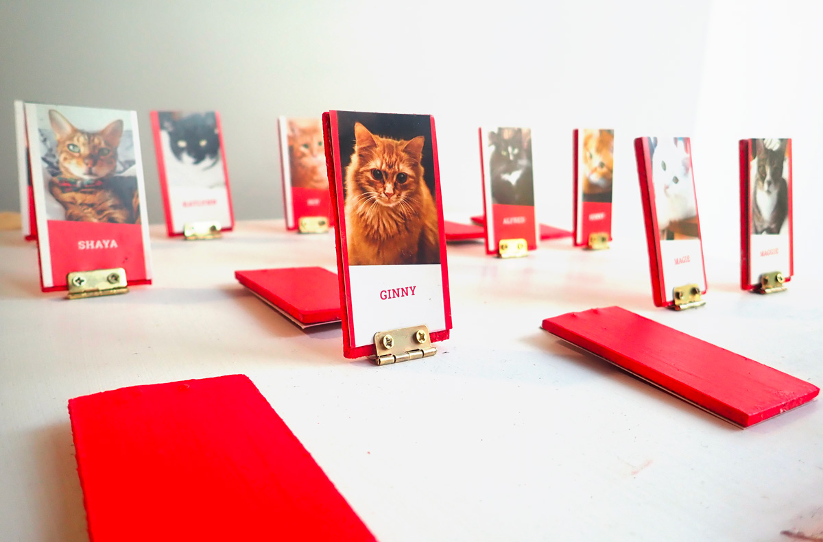 Plateau de jeu Qui c'est chat, jeu de société fait à la main avec photos de chats