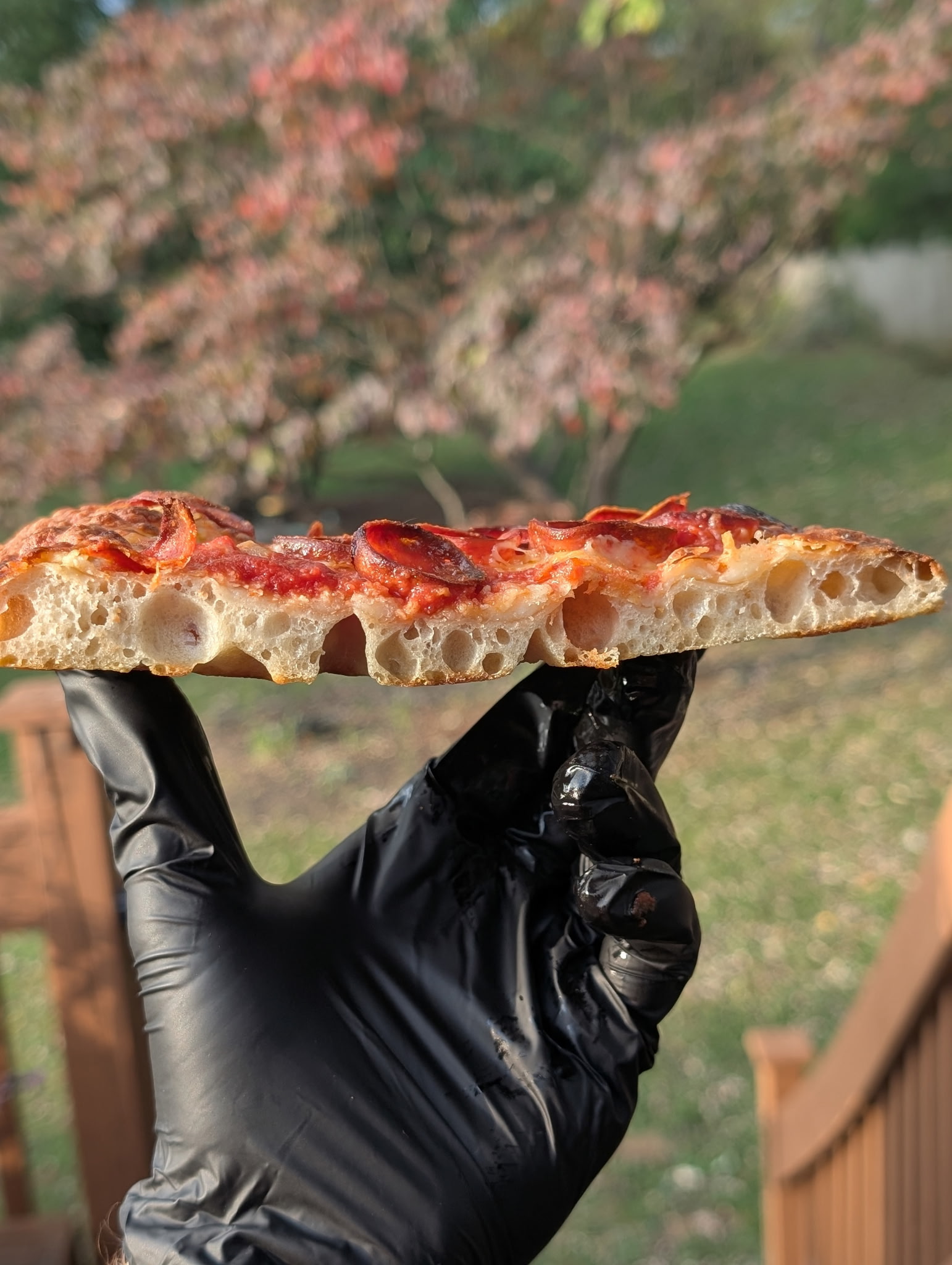 Brazen Bull pizza crumb, open airy texture from sourdough cold ferment