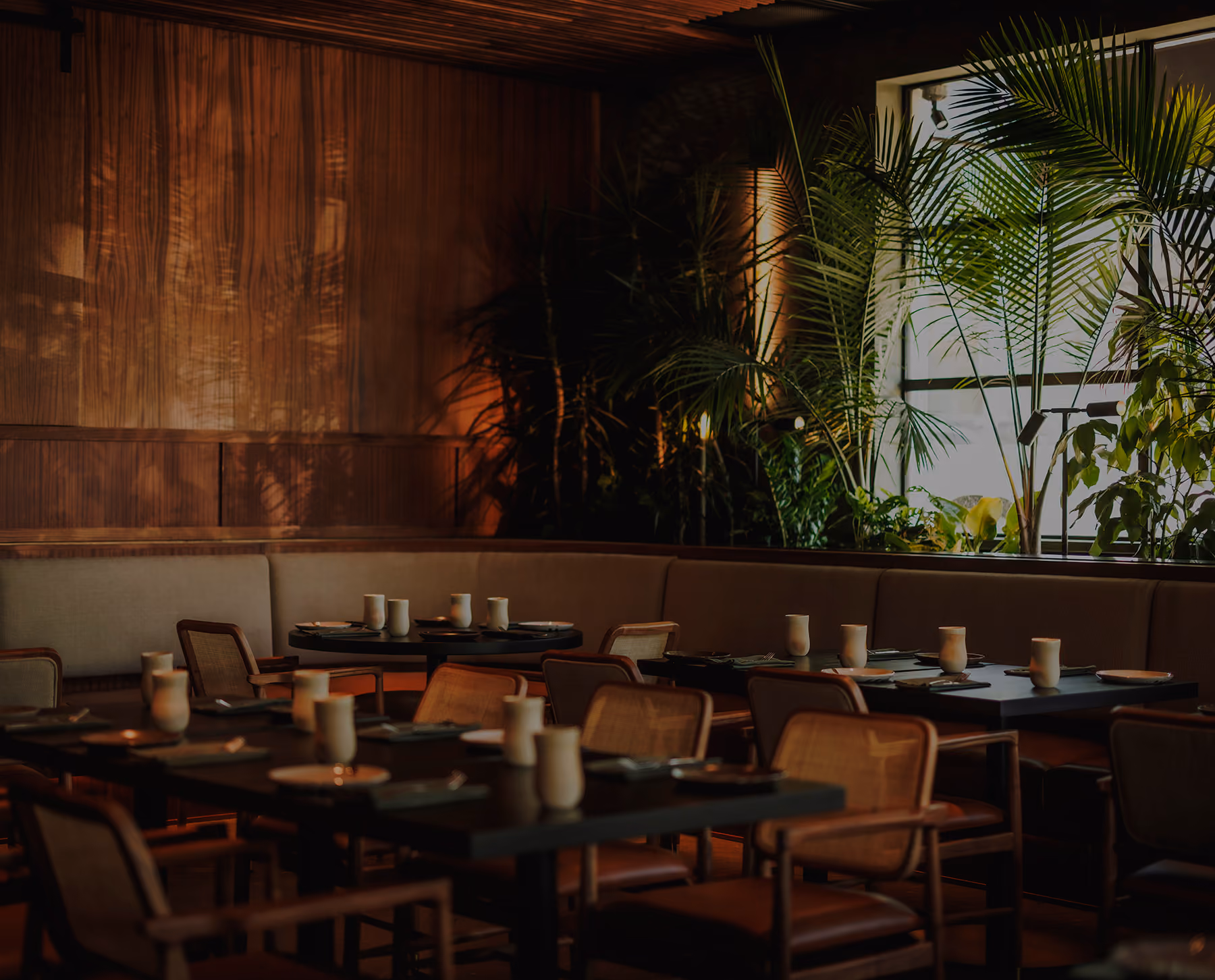 Interior restaurant seating with moody atmosphere, warm lighting and plant decor.