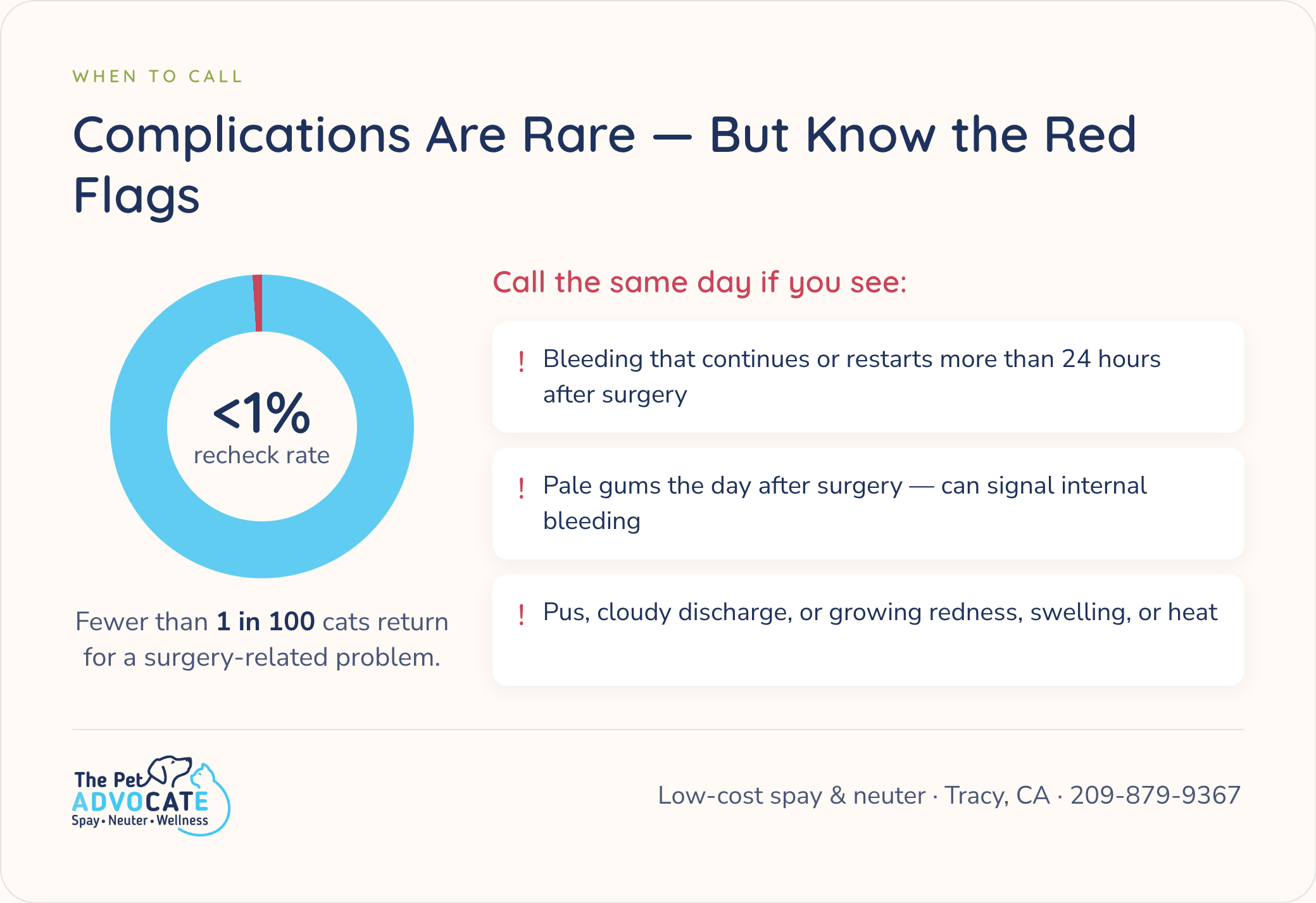 Cat spay complications are rare — under 1% recheck rate. Call the same day for bleeding more than 24 hours after surgery, pale gums the day after, or pus, cloudy discharge, growing redness, swelling, or heat around the incision.
