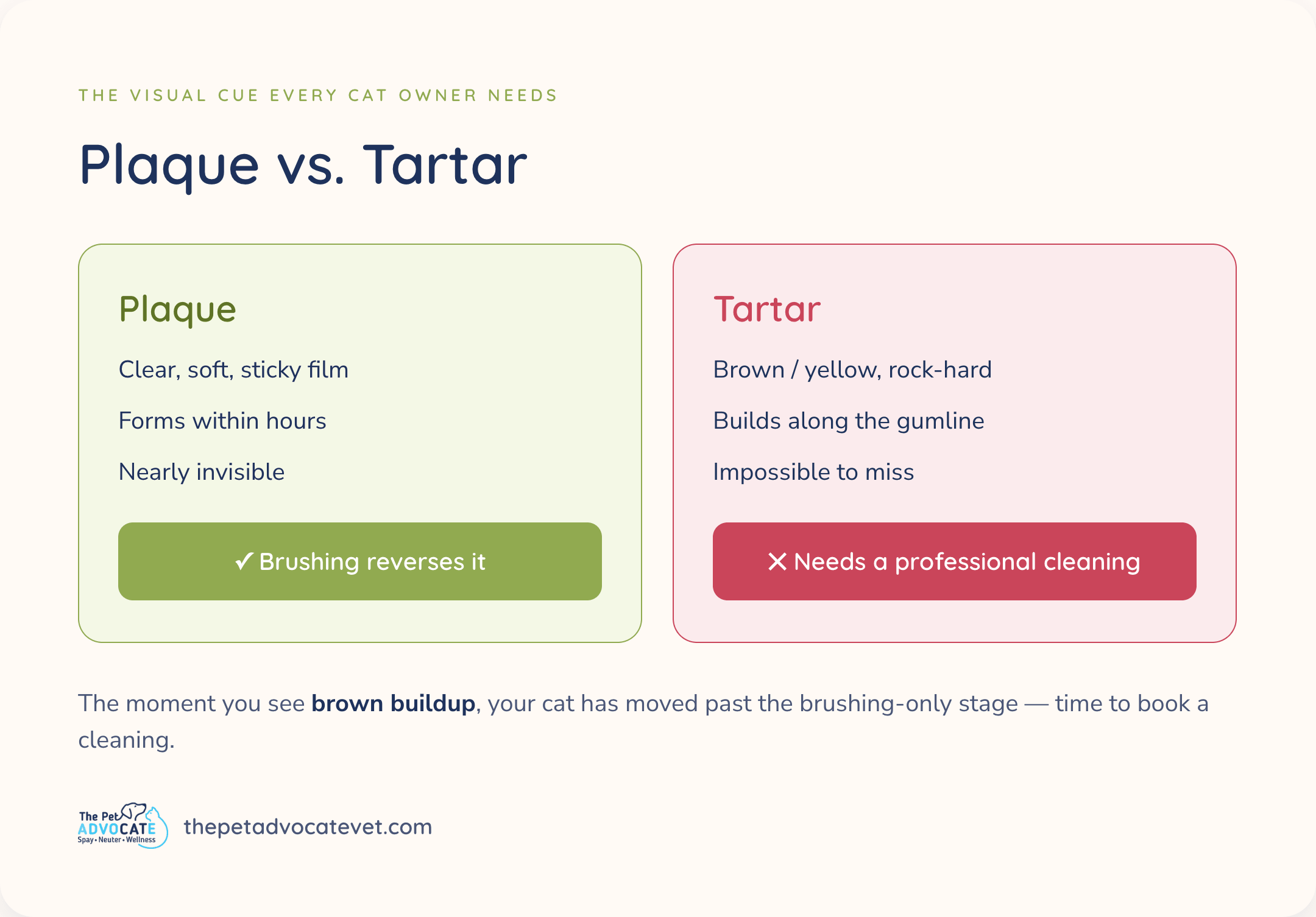 Comparison chart of plaque versus tartar in cats: plaque is clear, soft, and reversible with daily brushing, while brown, hardened tartar requires a professional dental cleaning.