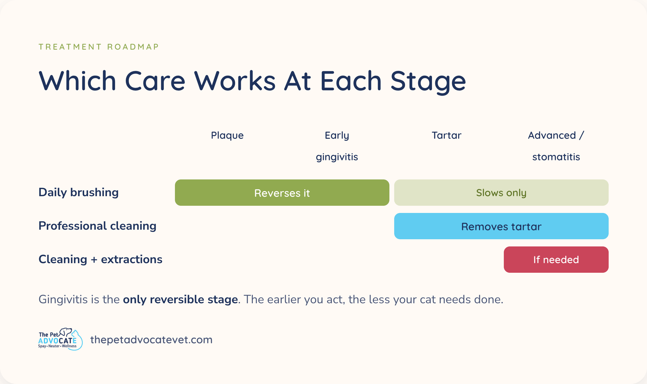 Gantt-style roadmap showing which cat dental care works at each stage: daily brushing reverses early gingivitis, professional cleaning removes tartar, and cleaning plus extractions treat advanced disease or stomatitis.