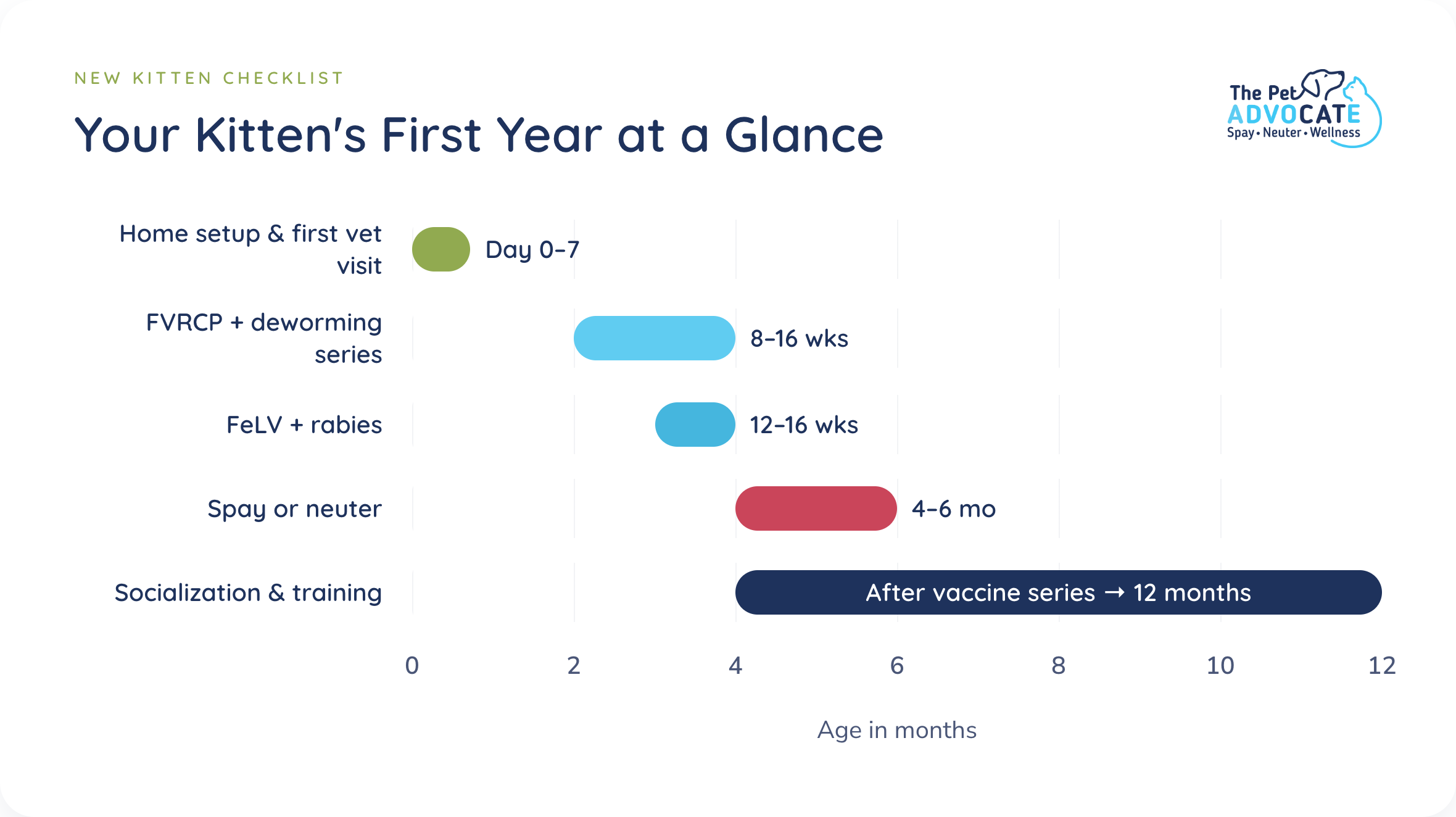 Timeline of a kitten's first year showing home setup and first vet visit at day 0–7, the FVRCP and deworming series at 8–16 weeks, FeLV and rabies at 12–16 weeks, spay or neuter at 4–6 months, and socialization and training from after the vaccine series through 12 months.