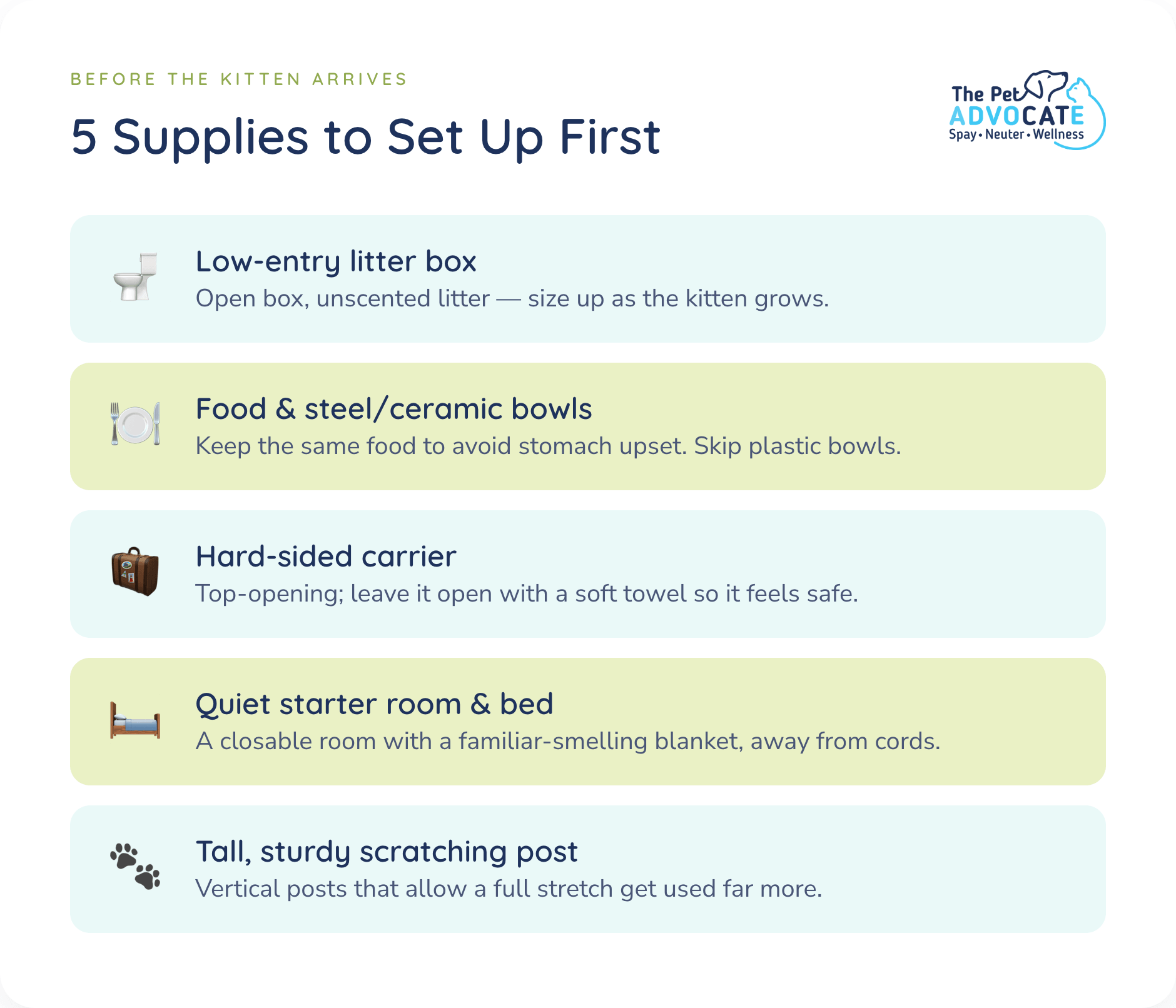 New kitten supply checklist: a low-entry litter box with unscented litter, the kitten's current food with steel or ceramic bowls, a hard-sided carrier, a quiet starter room with a familiar-smelling bed, and a tall sturdy scratching post.