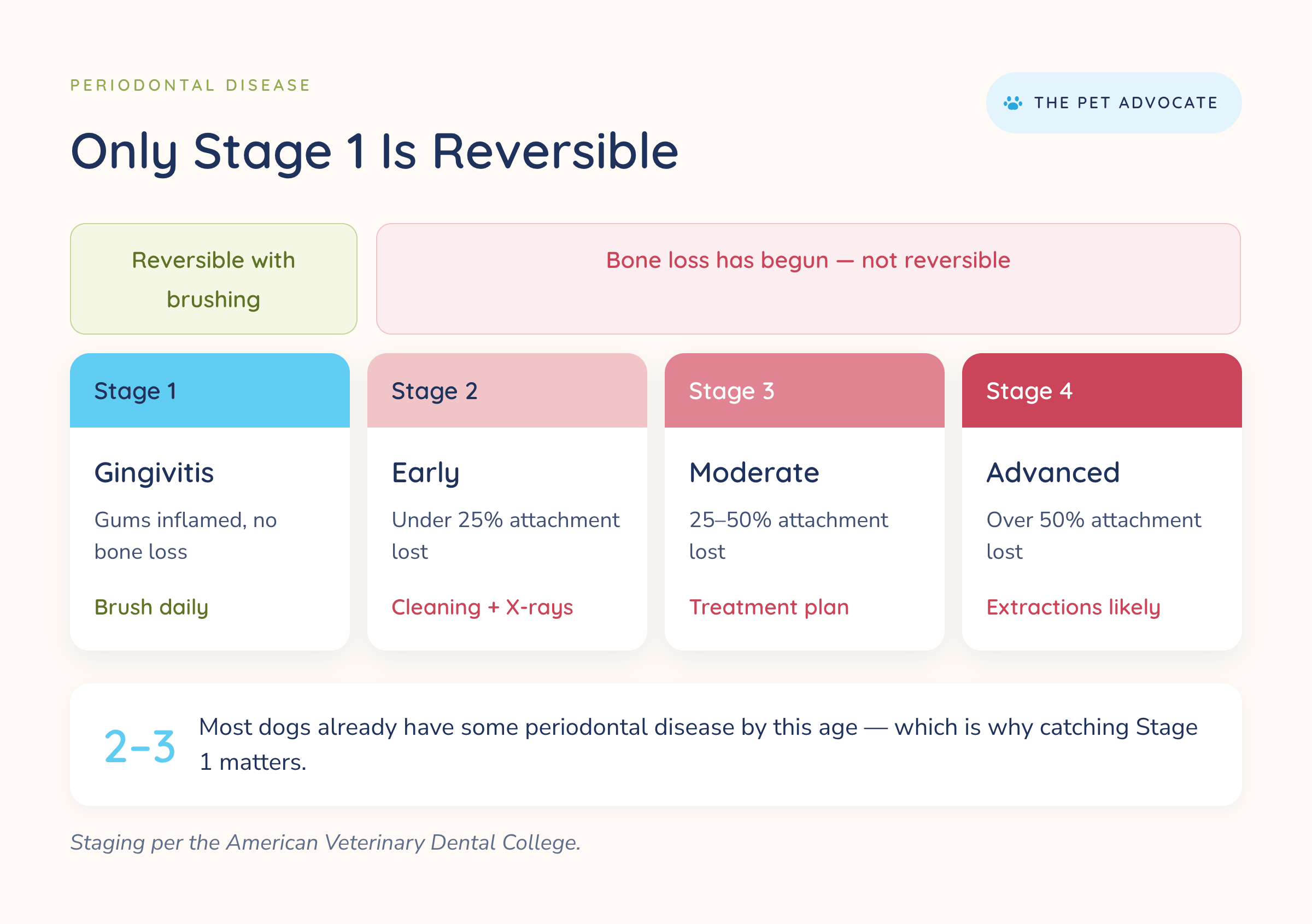Chart of the four stages of periodontal disease in dogs, showing Stage 1 gingivitis as reversible with daily brushing and Stages 2 through 4 as irreversible bone loss requiring professional cleaning, treatment planning, or extractions.