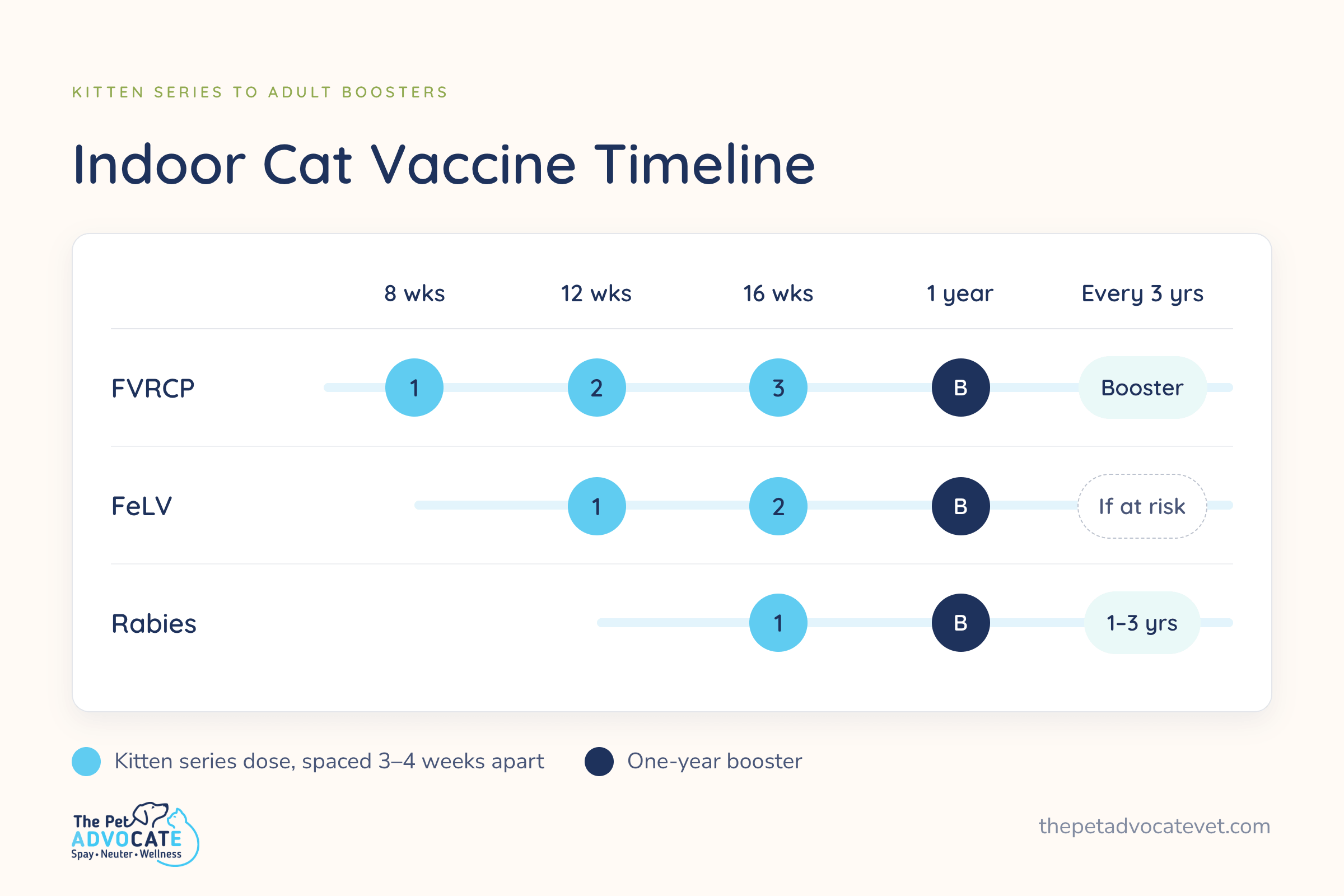 Indoor cat vaccine timeline showing FVRCP at 8, 12, and 16 weeks, FeLV at 12 and 16 weeks, rabies at 16 weeks, a one-year booster for each, then FVRCP every three years and rabies every one to three years.