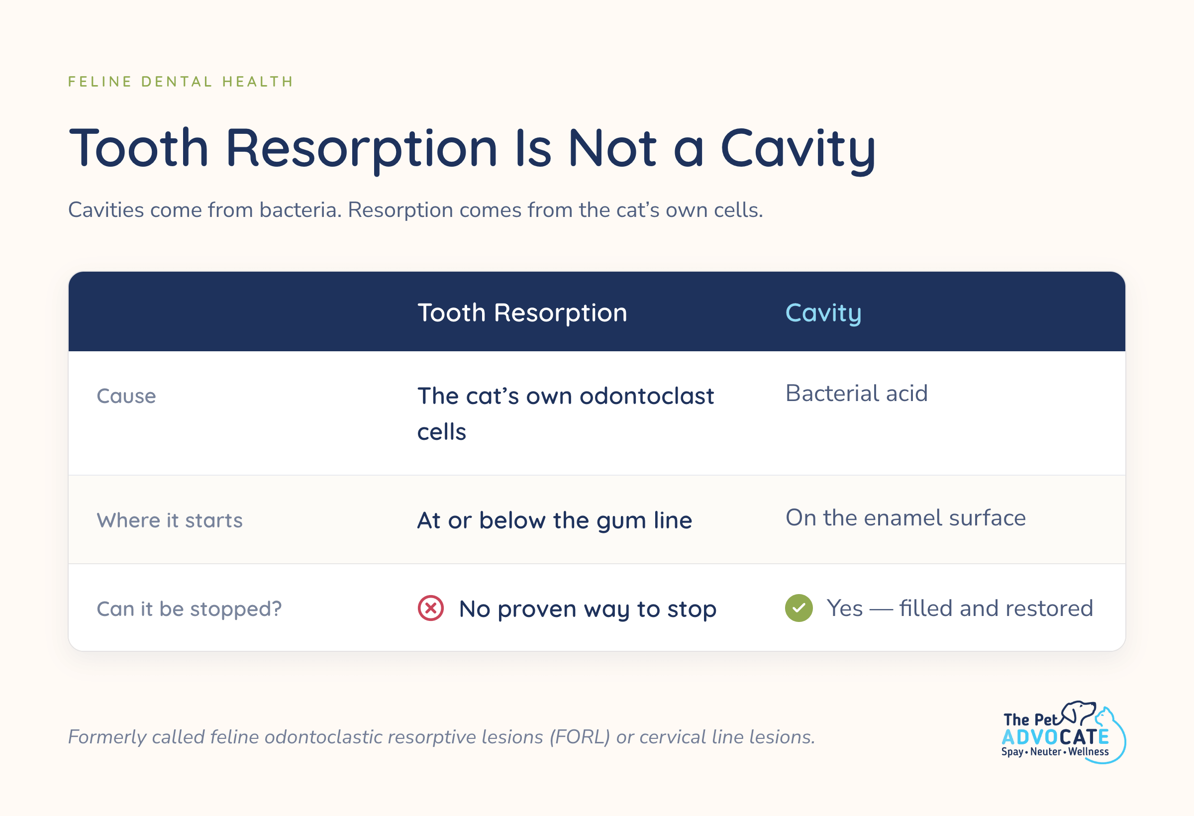 Chart comparing feline tooth resorption and cavities by cause, starting point, and whether either can be stopped.