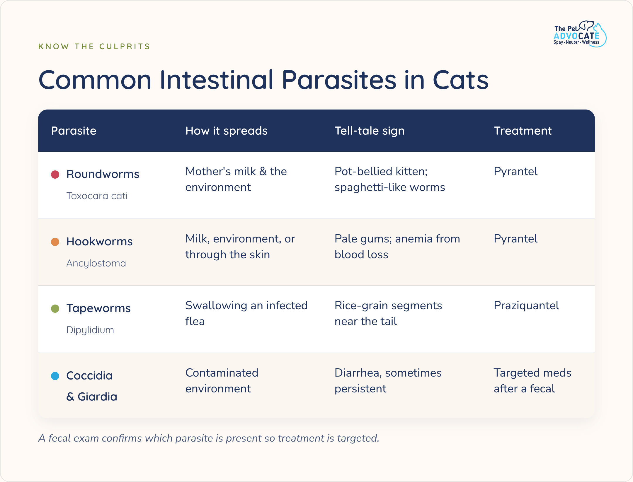 Comparison table of common feline intestinal parasites — roundworms, hookworms, tapeworms, and coccidia or giardia — listing how each spreads, its tell-tale sign, and its treatment.