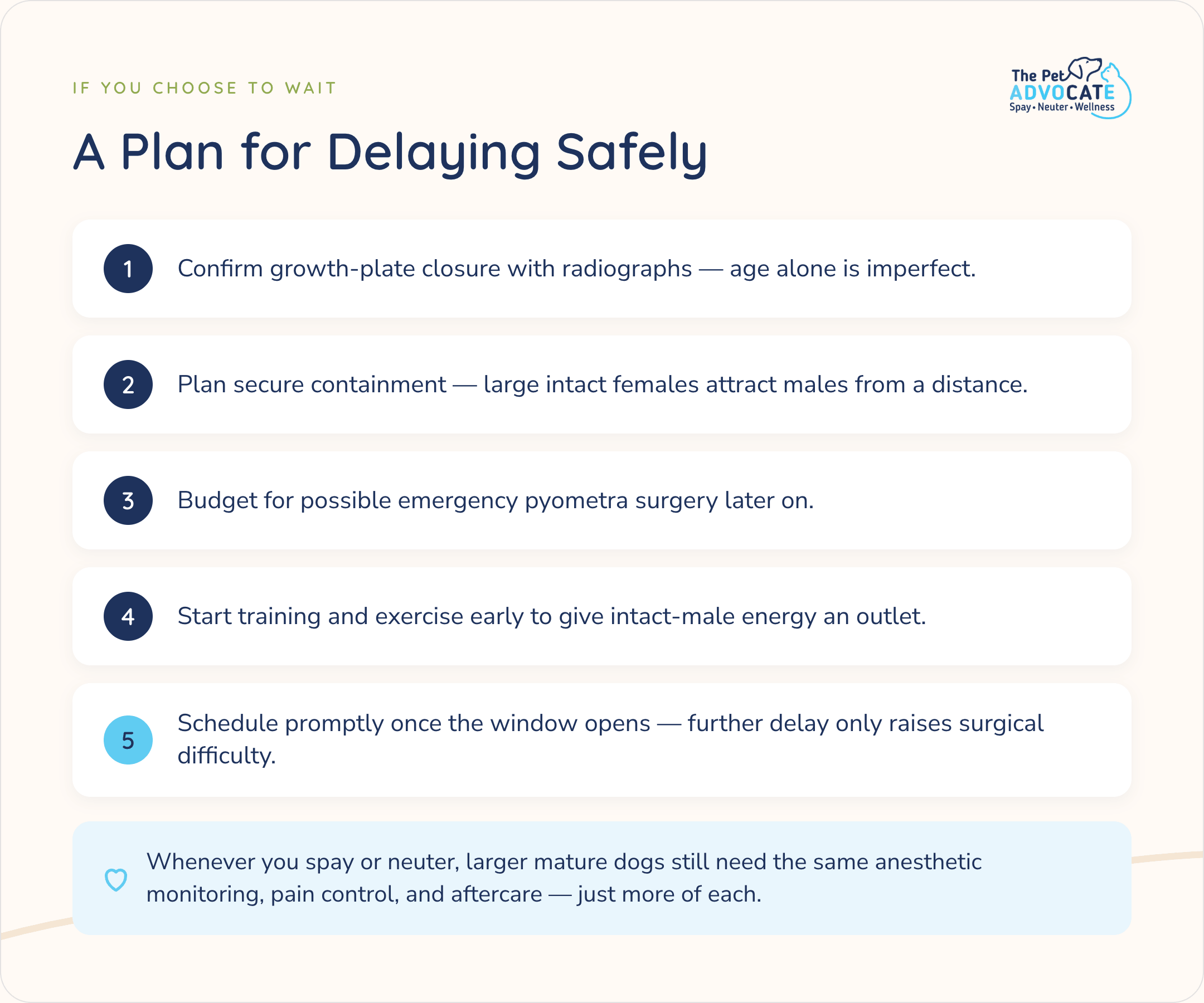 Five steps for delaying spay or neuter safely: confirm growth-plate closure with radiographs, plan secure containment, budget for possible pyometra surgery, start training early, and schedule promptly once the window opens.
