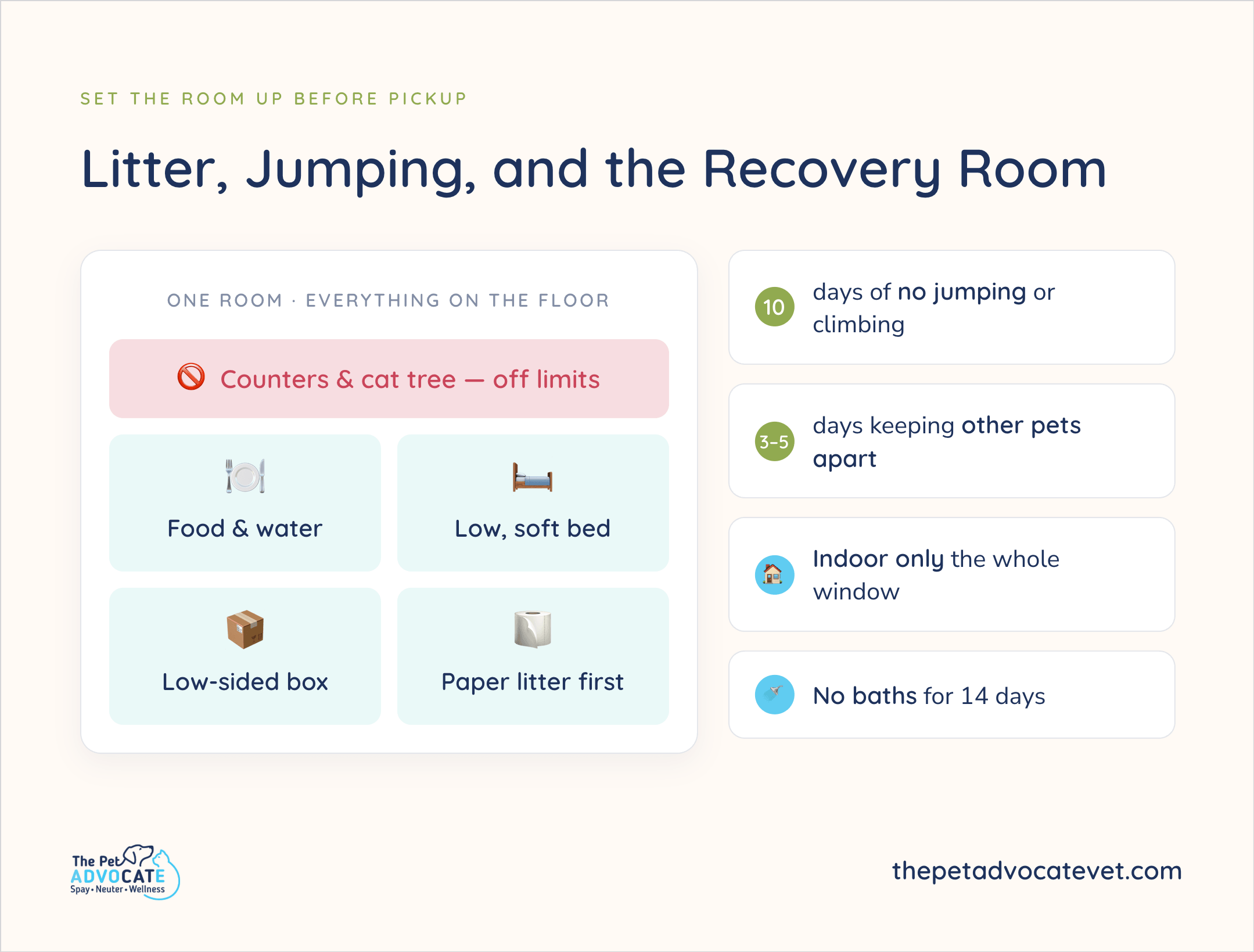 The Pet Advocate Litter, Jumping, and the Recovery Room: one room, everything on the floor—food, water, low bed, low-sided box, paper litter; counters and cat tree off limits. 10 days no jumping; 3–5 days pets apart; indoor only; no baths 14 days.