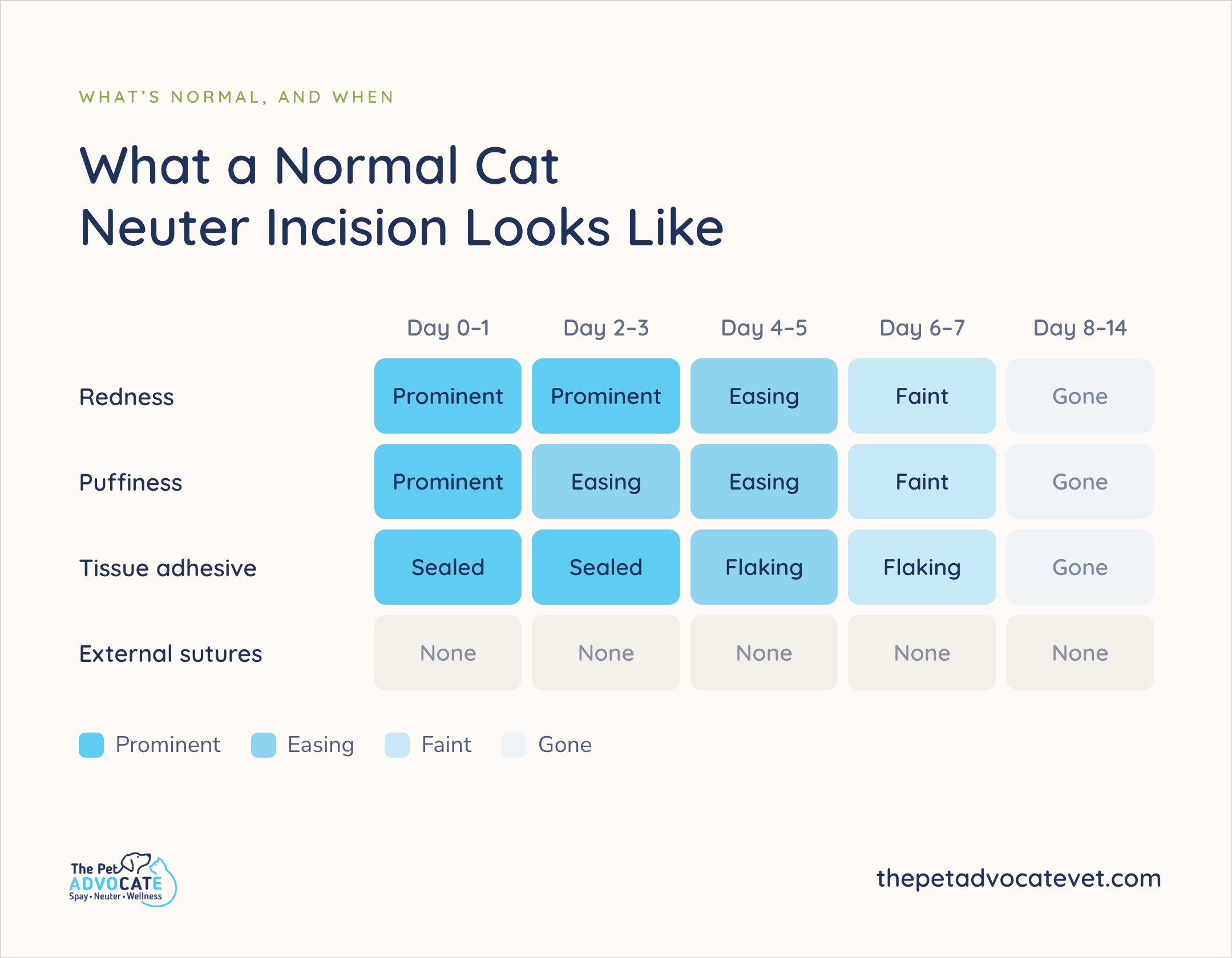 The Pet Advocate What a Normal Cat Neuter Incision Looks Like grid: redness and puffiness prominent day 0–1 then easing to gone by day 8–14; tissue adhesive sealed, flaking days 4–7, gone by 8–14; external sutures none across day 0–14.
