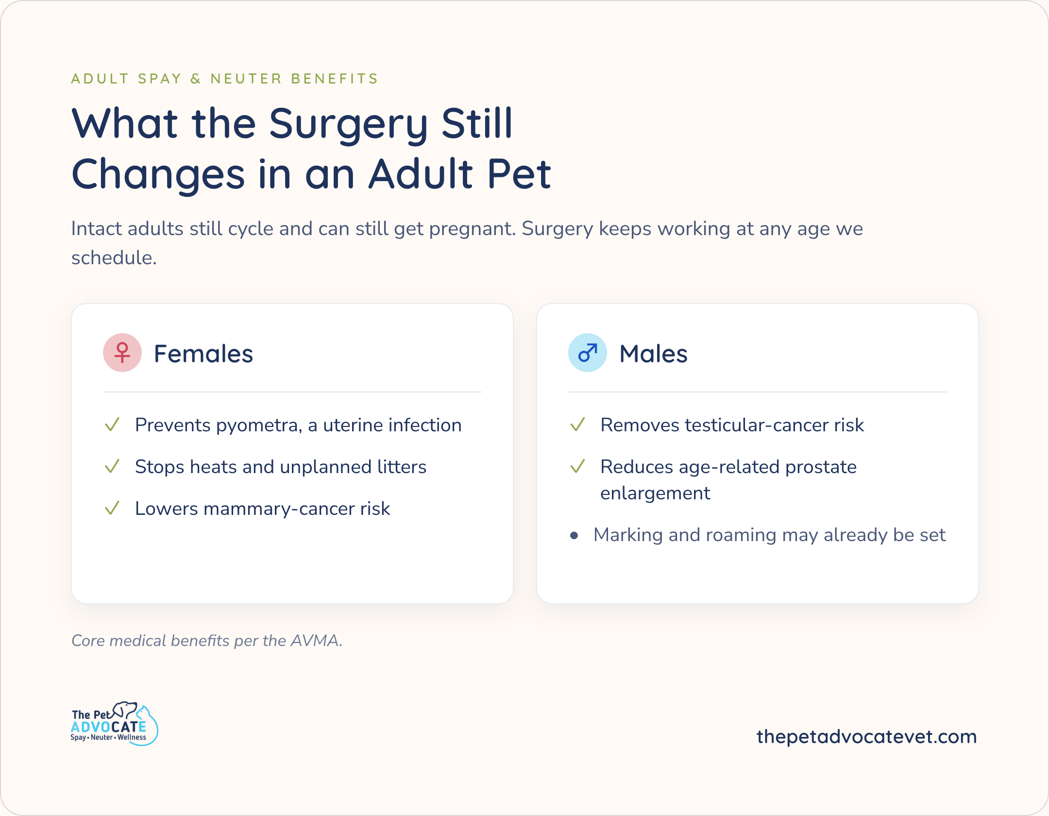 Adult spay & neuter benefits: females—prevents pyometra, stops heats and litters, lowers mammary-cancer risk; males—removes testicular-cancer risk, reduces age-related prostate enlargement; marking/roaming may already be set. Core benefits per AVMA.