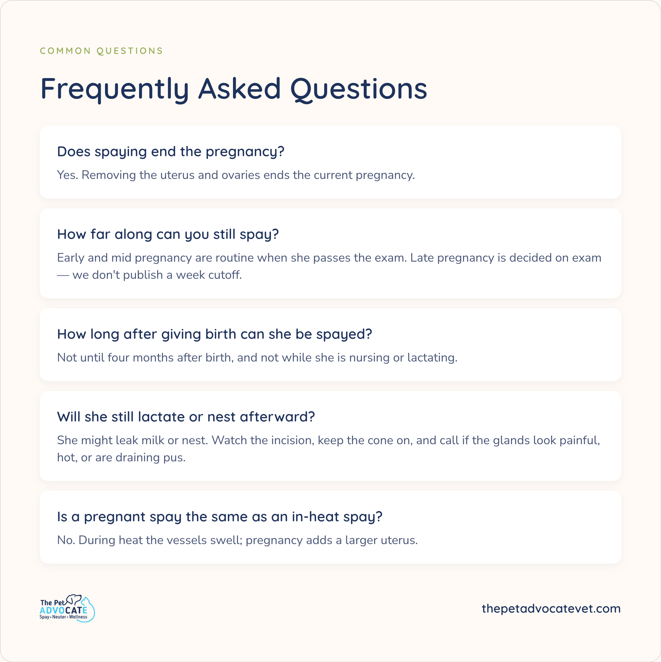 FAQ: spaying ends the pregnancy; how far along decided on exam; four-month wait after birth; possible lactation or nesting afterward; pregnant spay differs from an in-heat spay.