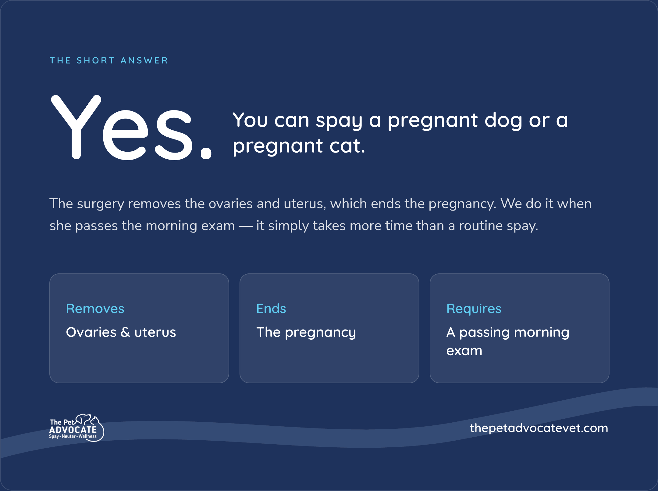 The Short Answer: yes, you can spay a pregnant dog or cat; surgery removes ovaries and uterus and ends the pregnancy when she passes the morning exam.